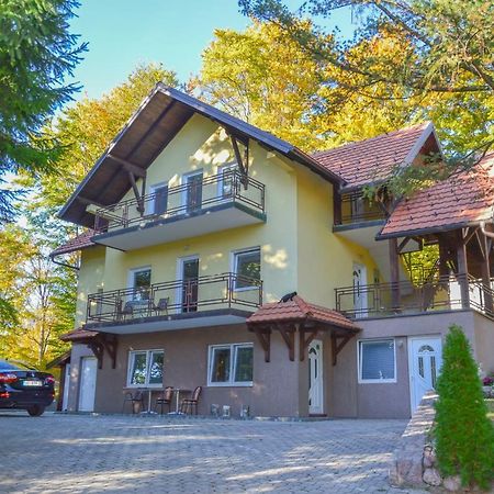 Vila Savinka Zlatibor Extérieur photo