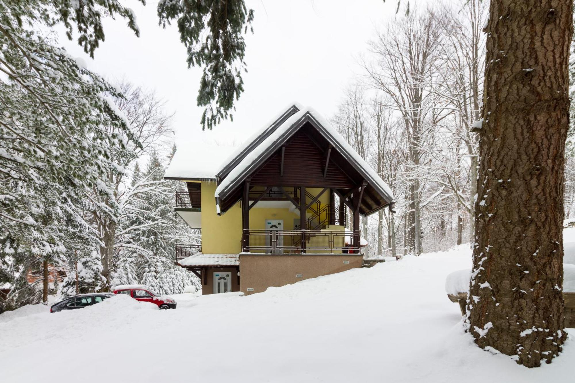 Vila Savinka Zlatibor Extérieur photo