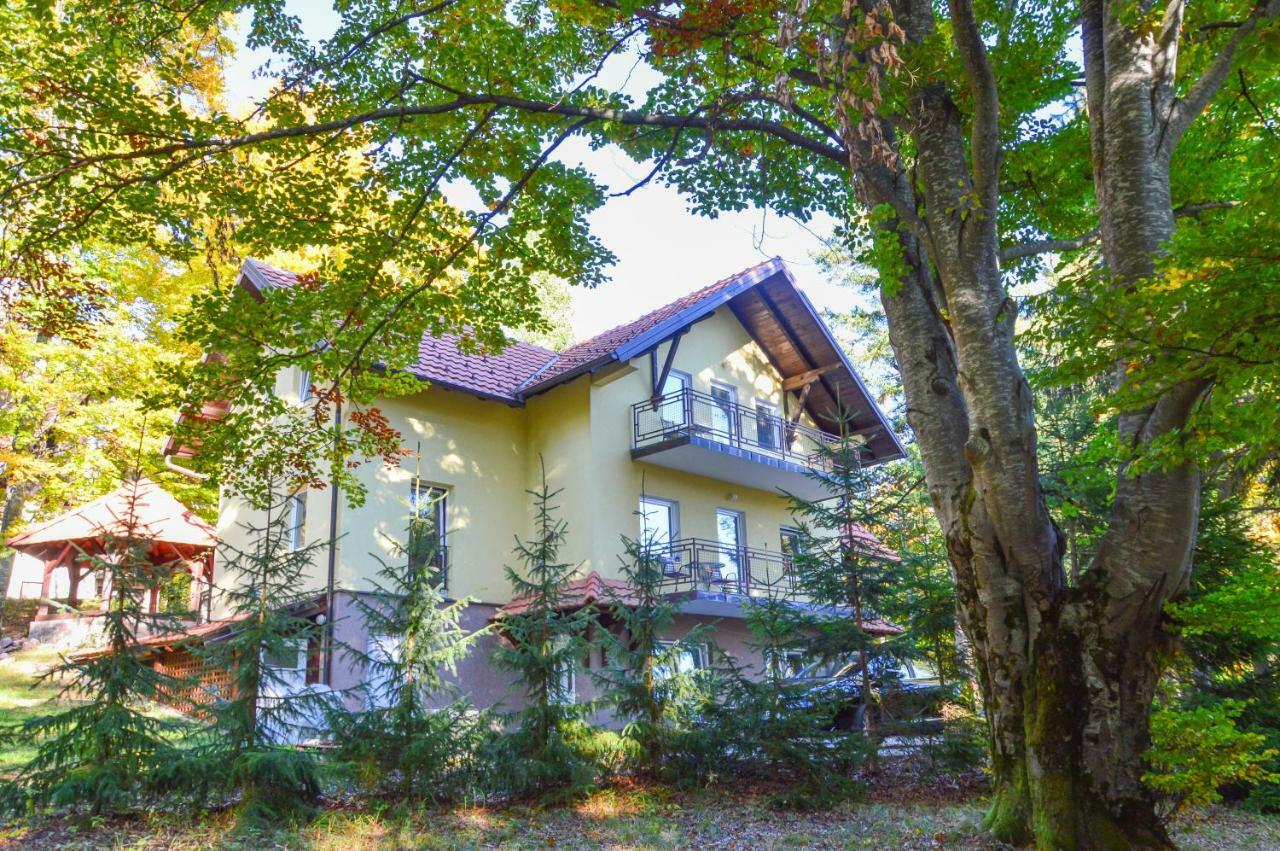 Vila Savinka Zlatibor Extérieur photo
